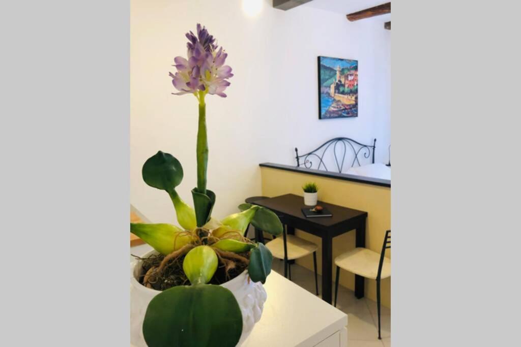 La Gianchina Di Vernazza - Central Cozy Apt Wi-Fi المظهر الخارجي الصورة